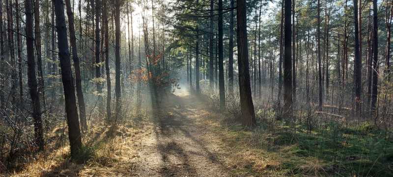 Omgeving