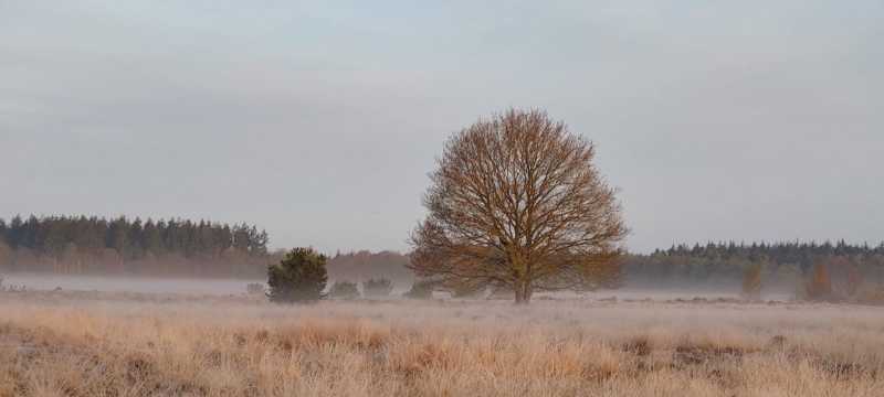 Omgeving