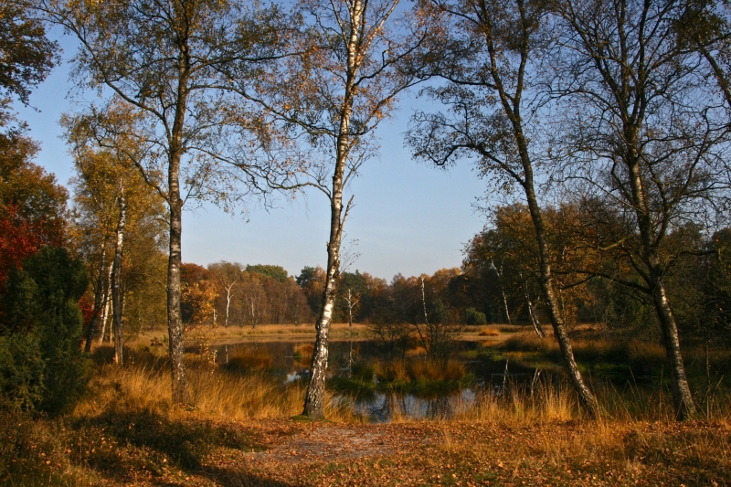 Omgeving