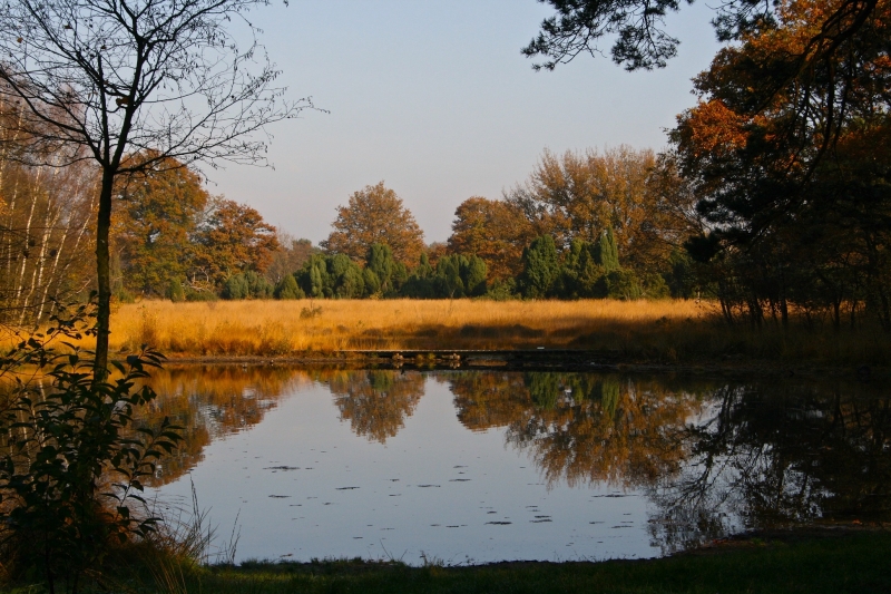 Omgeving