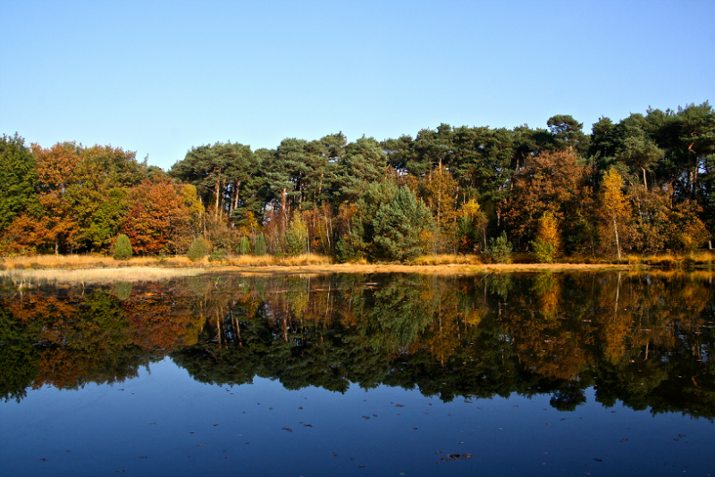 Omgeving