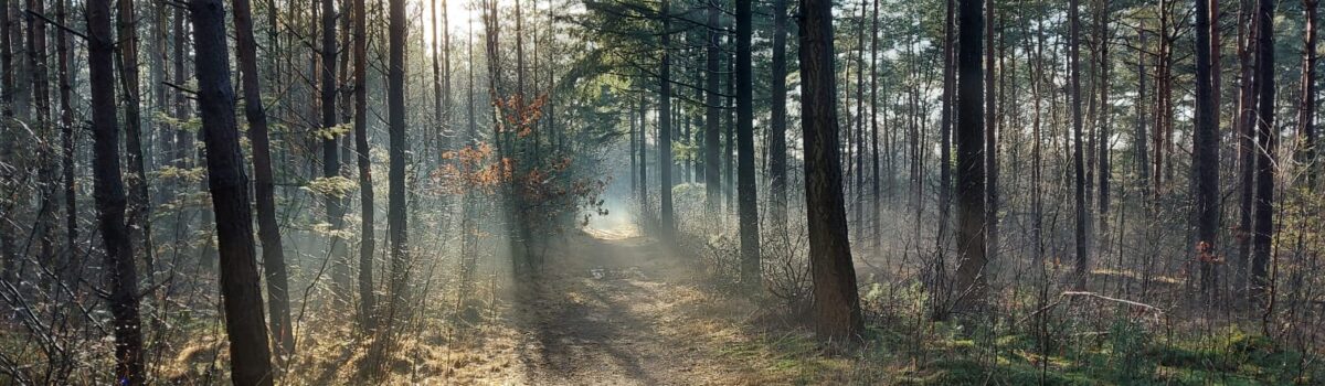 Boerderijcamping De Beek