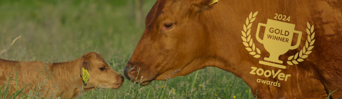 Boerderijcamping De Beek